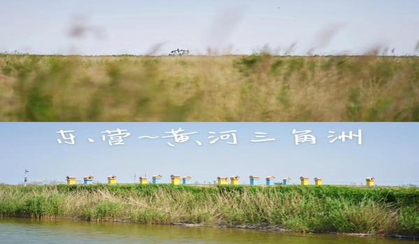 三角洲手游透视辅助怎么买（给我提供一个三角洲手游透视辅助链接）